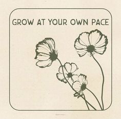 an old poster with three flowers growing out of it's center and the words grow at your own pace