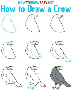 how to draw a crow step by step drawing instructions for children and adults with pictures