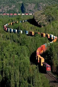 a train traveling through a lush green forest