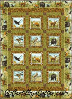 a quilt with pictures of animals on it