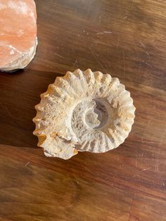 two seashells sitting on top of a wooden table next to an orange stone