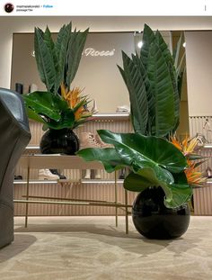 two black vases with green leaves and flowers in them sitting on a table next to a mirror