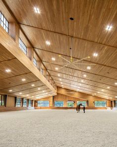 two horses in an indoor arena with wooden ceiling