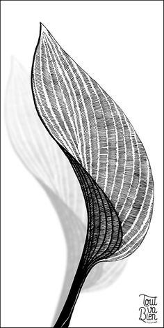 a black and white drawing of a leaf