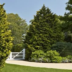 a white gate surrounded by trees and shrubs