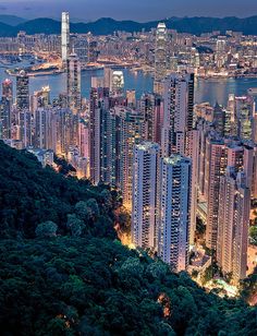 an aerial view of hong kong and the city lights at night from atop a hill