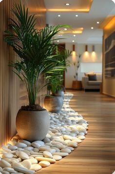 a large potted plant sitting on top of a wooden floor next to white rocks