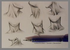 a pencil drawing of different positions of the head and neck, from top to bottom