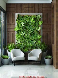 two white chairs sitting next to each other in front of a green plant covered wall