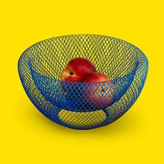 a blue wire bowl with two apples in it on a bright yellow background by corbi