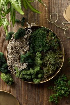 a bowl filled with broccoli on top of a wooden table