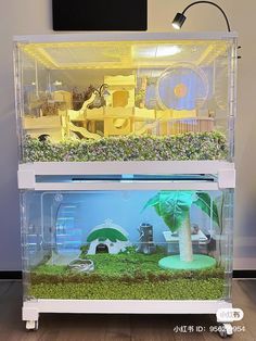 a fish tank filled with plants and other items in it's display case on top of a hard wood floor