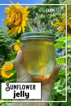 sunflower jelly in a mason jar with the words, sunflower jelly on it