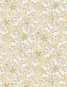 Wilmington Prints Coastal Sanctuary Sand Dollars Tan Fabric Sand Pattern, Susan Winget, The Quilt Show, Sand Dollars, Fabric Yardage, Cotton Quilting Fabric, Quilt Set, Sand Dollar, Quilt Kit