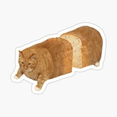 an orange cat laying on top of a piece of bread sticker with a slice cut out of it