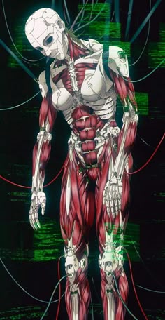 an animated image of a human body with muscles and skeletal systems in the foreground