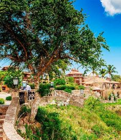 people are sitting under a tree on the side of a stone wall with stairs leading up to it