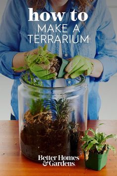 Plants Without Sunlight, Diy Terrarium Ideas, Plants Ideas Indoor, Diy Terrariums, Tabletop Terrarium, Make A Terrarium, Tiny Terrarium, Orchid Terrarium, Build A Terrarium