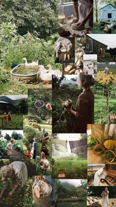 a collage of people working in the garden