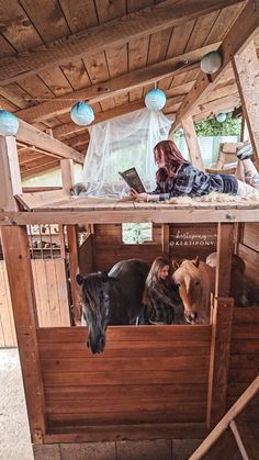 a woman laying on top of a wooden structure next to two horses and a dog