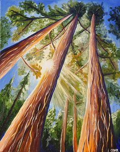 an oil painting of trees with the sun shining through them