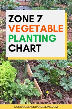 a sign that says zone 7 vegetable planting chart in front of a garden with vegetables