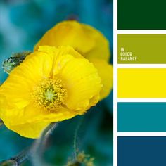 two yellow flowers with green leaves in the background and blue, green, and yellow color palette