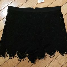 Short Lace Shorts, Back Zipper Black Short Length Bottoms For Date Night, Black Shorts For Going Out, Black Bottoms With Built-in Shorts For Date Night, Black Shorts For Date Night In Spring, Black Lace Shorts, Lace Shorts, Black Lace, Nordstrom, Womens Shorts