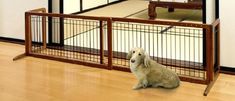 a dog sitting on the floor in front of a gate