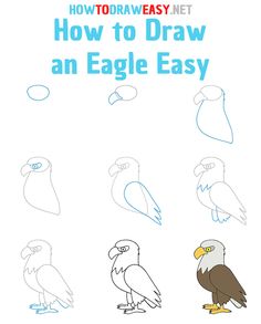 how to draw an eagle easy step by step instructions for children and adults with pictures