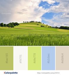 an image of a green field with blue sky and clouds in the background that says colorplate