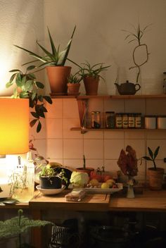 the kitchen counter is cluttered with plants and food