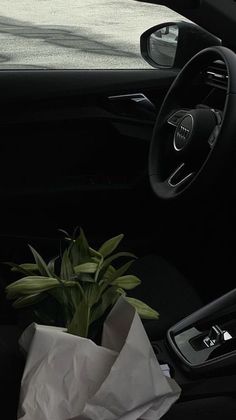 the interior of a car with a plant and paper bag in it's center console