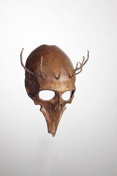 an animal skull with antlers on it's head