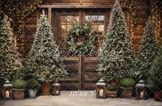 christmas trees are lined up in front of a wooden door