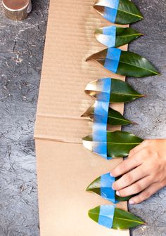 a person is making a plant out of cardboard with blue tape and green leaves on it