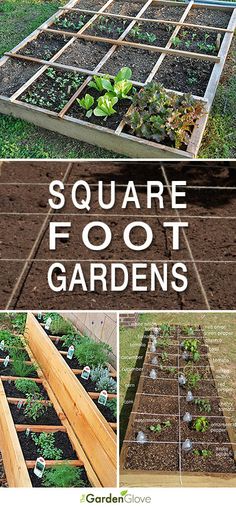 square foot gardens are great for growing vegetables in the garden and on the ground, so that's what they need to do