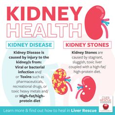 Kidney Health Kidney Tumor, Food For Kidney Health, Polycystic Kidneys, Thyroid Healing, Pins Board, Kidney Recipes, Herbal Healing