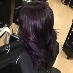 50 Glamorous Dark Purple Hair Color Ideas — Destined to Mesmerize Trendy Hair Color, Hair Dye Colors, Hair Inspiration Color