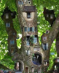 a tree house built into the side of a tree in a forest with lots of windows