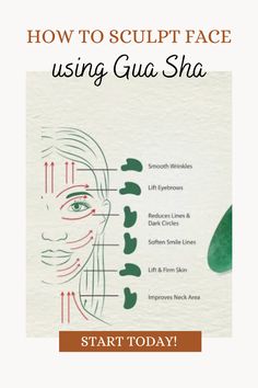 Sculpt your face today with a Gua Sha, just 1x a day, see results in just a week Perfect your skin care. Get the best skin of your life. Gua Sha For Eye Bags, Shape Jawline, For Jawline, Skincare Knowledge, Perfect Jawline, Facial Exercise, Reduce Eye Bags, Facial Tools, Body Diagram