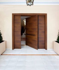 an open door leading into a room with potted plants