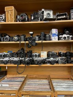 many cameras are sitting on shelves in a room