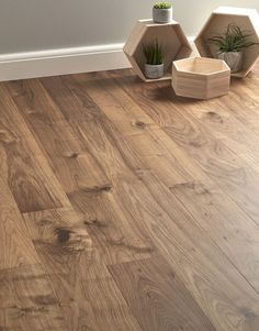 a wooden floor with three planters on it and one potted plant in the corner