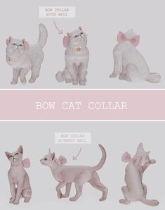 the different types of cats are shown in this graphic art work, which includes pink and white