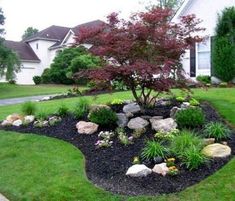 a very nice looking yard with some rocks and flowers in it's front yard