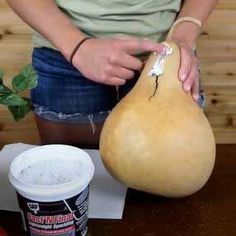 a person holding a large squash over a table