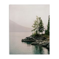 an island in the middle of water with trees on it