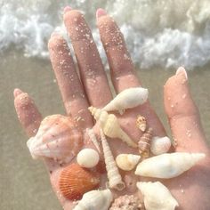 a person's hand with shells and sand on the beach