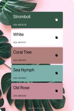 some green leaves are on top of a pink background with the words, white coral tree sea nymph old rose